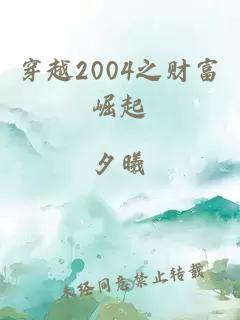 穿越2004之财富崛起