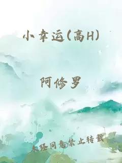 小幸运(高H)