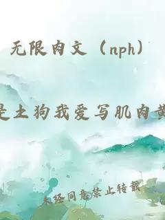 无限肉文（nph）