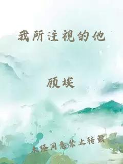 我所注视的他