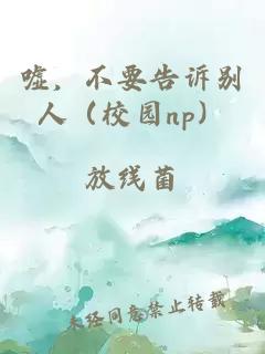 嘘，不要告诉别人（校园np）