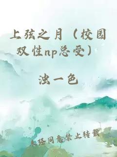 上弦之月（校园双性np总受）