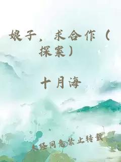 娘子，求合作（探案）