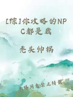 [综]你攻略的NPC都是我