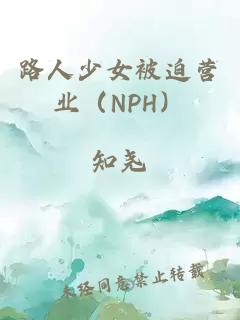 路人少女被迫营业（NPH）