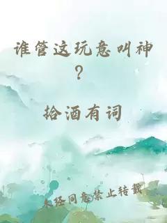 谁管这玩意叫神？