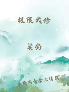 极限武修