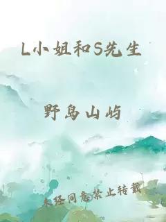 L小姐和S先生